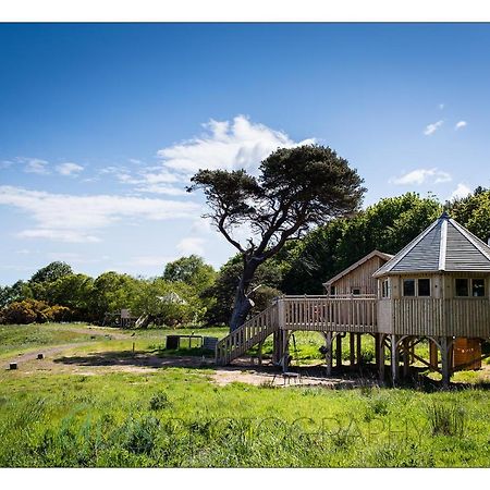 Willa Harvest Moon Treehouse Dunbar Zewnętrze zdjęcie
